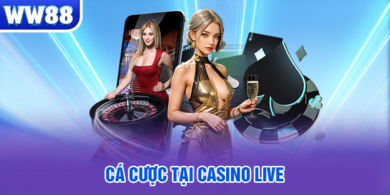 Cá cược tại Casino live 