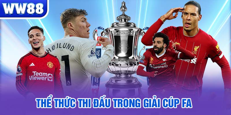 Thể thức thi đấu trong giải cúp FA